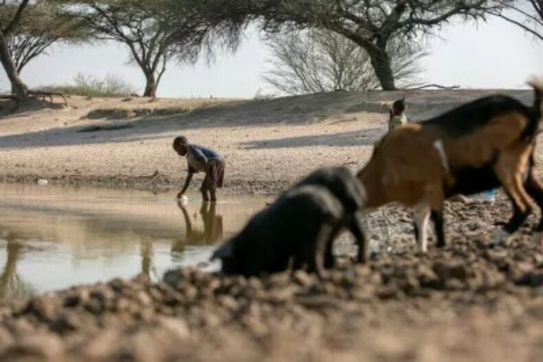 © UNICEF/ UNI336752/ César